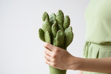 Woman hands holding cactus. Concept of vegan cactus leather made from Opuntia Cactus. Innovative vegan leather, cruelty-free fashion