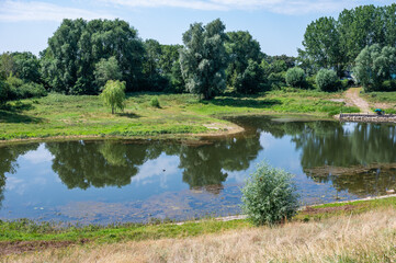 Fototapeta premium Natural reflections in the ponds of the river Waal at Millingerwaard, The Netherlands
