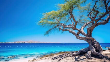 Tree on the beach with blue sky background. Seascape