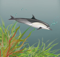 illustration d'un requin commun. qui nage dans l'eau limpide avec des algues