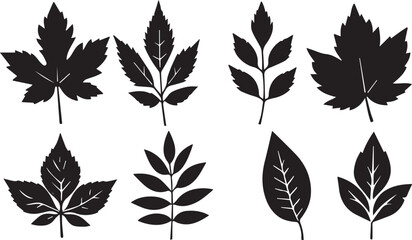 leaf EPS, leaf Silhouette, leaf Vector, leaf Cut File, leaf Vector
