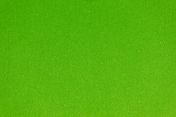 Detail of green colour paper sheet (school poster board, bristol board) texture. Plain background