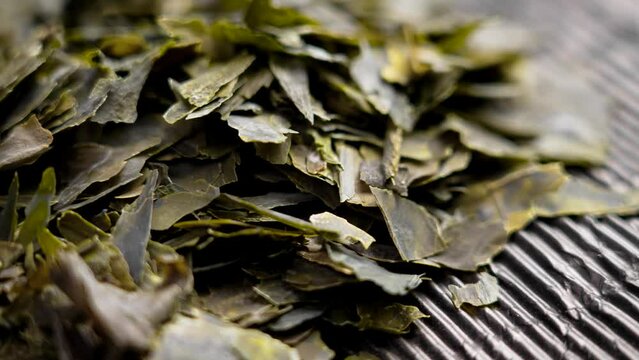 Japanese dried kombu seaweeds. Dehydrated Asian seafood ingredient. Rotation. Macro shot