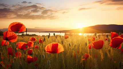 Deurstickers poppy field at sunset © Nikodem