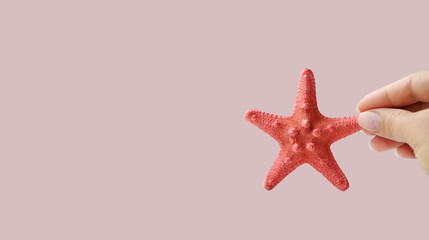 A decorative sea star is held in the hand. Light monochrome background. Horizontal corner...