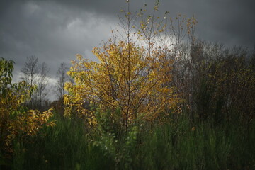 Herbst Landschaft bei Wind und Wetter