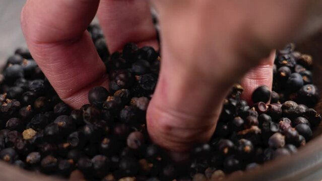 Hand taking dried juniper berries from a wooden bowl. Dehydrated aromatic medicative ingredient. Macro shot