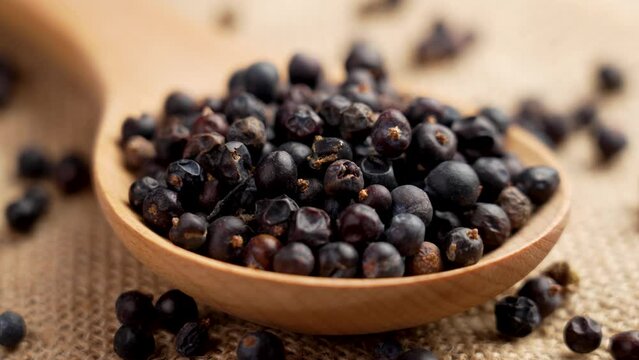 Dried juniper berries in wooden spoon on a rustic sackcloth close up. Natural seasoning. Rotation