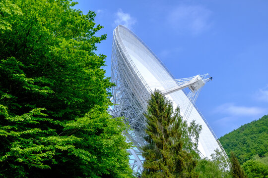 Radio Telescope in the Woods