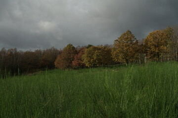Herbst Landschaft bei Wind und Wetter