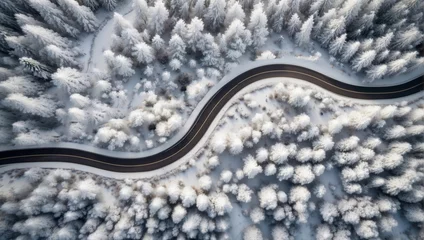 Foto op Aluminium top view of a winding road in the middle of a snowy pine forest © adynue