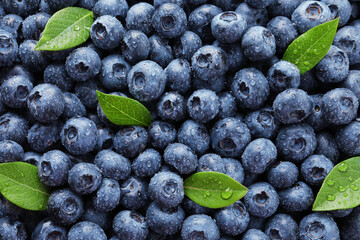 Wet fresh blueberries with green leaves as background, top view