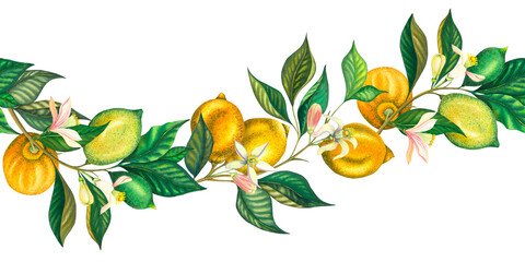 Watercolor seamless border of blooming lemons and lime branch with leaves, pink flowers and green lemon. Hand painted yellow fruits and flower isolated on white background. Fresh citrus illustration - obrazy, fototapety, plakaty
