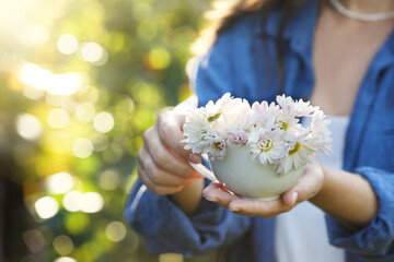 Woman holding cup with beautiful white chamomile flowers outdoors, closeup. Space for text