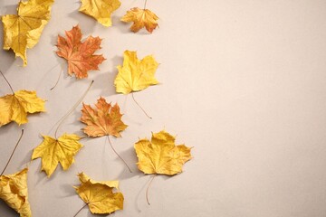 Dry autumn leaves on beige background, top view. Space for text