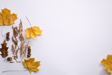 Flat lay composition with dry autumn leaves on white background, space for text