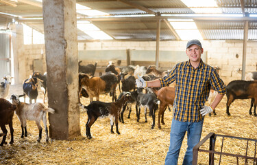 Confident positive male farmer, engaged in breeding dairy goats, posing in goat shed .. - obrazy, fototapety, plakaty