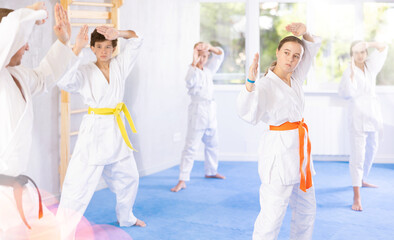 Fototapeta na wymiar Group of karate kids practicing karate technique in gym