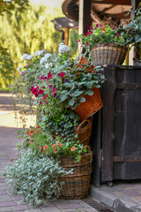 Baskets with green plants and flowers decorate entrance to outdoor cafe.Selective focus. 