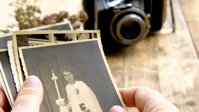 female hand hold old family photos, stack of old family vintage photographs of 50s, 40s, black retro accordion camera on wooden table, concept of genealogy, memory of ancestors, family tree, memories