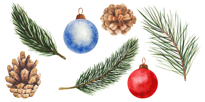 pine and spruce branch, blue and red Christmas tree toy, fir cones. Hand drawn watercolor illustrations. Isolated cliparts for Christmas design, New Year compositions. Realistic botanical elements.