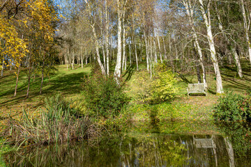 Olc bench overlooking a pond and autumnal trees  trees