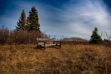 Fototapeta na wymiar wooden bench in the forest