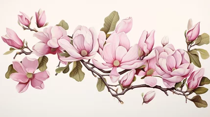 Foto op Canvas magnolia flower illustration with leaves and branches, hyper-realistic details, light pink, large-scale murals © IgnacioJulian