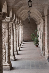 Obraz premium columns in a cloister