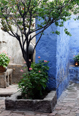 Colorful courtyard in the Monasterio de Santa Catalina, Arequipa, Peru.