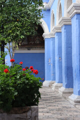 Perspective of blue pilars in in the Monasterio de Santa Catalina, Arequipa, Peru. Green vegetation and geraniums.