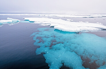 Underwater Ice Formations at the Arctic Pack Ice
