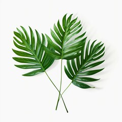 Tropical Essence: Green Palm Branch Leaves Isolated on White Background. Generative ai