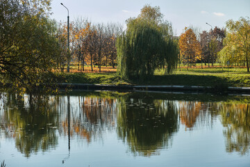 Fototapeta na wymiar Autumn foliage is reflected in the river. Riverside environmnet of autumn river