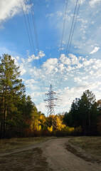 Vertical photo of power lines in an autumn forest under a blue sky in the late afternoon