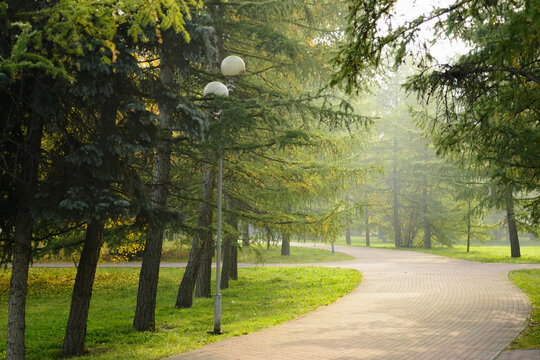 Morning foggy landscape in the park with a walkway and a lantern