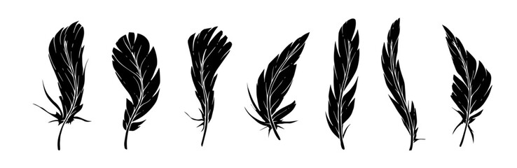 Set of bird feather silhouettes. Vector graphics.