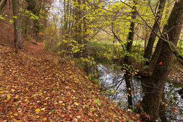 Colorful autumn Landscape in the Central Bohemian Region of the Czech Republic, Kokorin