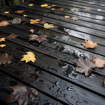 Photograph of autumn fall leaves lying on a wooden deck in the rain