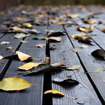 Photograph of autumn fall leaves lying on a wooden deck in the rain