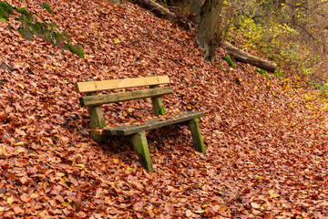 Colorful autumn Landscape in the Central Bohemian Region of the Czech Republic, Kokorin