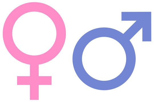 Vector illustration of gender symbols. Icons and symbols for male and female