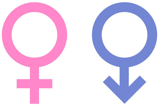 Vector illustration of gender symbols. Female and male sex icon. Male and female symbols.
