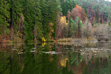Fototapeta premium Colorful autumn Landscape in the Central Bohemian Region of the Czech Republic, Kokorin