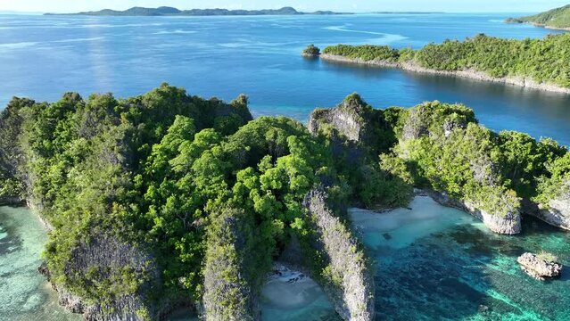 The incredibly scenic, limestone islands of Penemu are surrounded by beautiful coral reefs. These islands, found in northern Raja Ampat, support an amazing array of biodiversity.