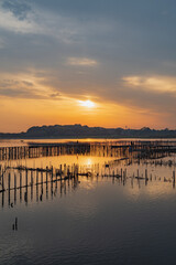 Obraz premium 群馬 多々良沼の夕景