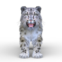 ユキヒョウ　3DCG レンダリング