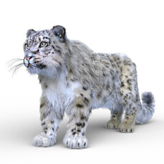 ユキヒョウ　3DCG レンダリング