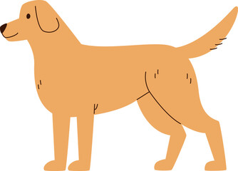 Dog Pet Standing