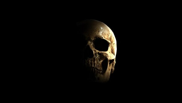 Human skull revealed with spotlight